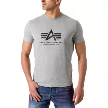 Basic T - greyheather