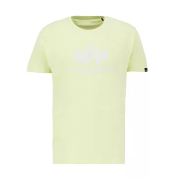 Basic T -  arctic lime