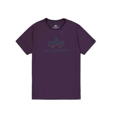 Basic T Rainbow Reflective - plum