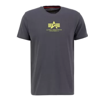 Basic T ML - vintage grey