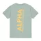 Backprint T - frost green