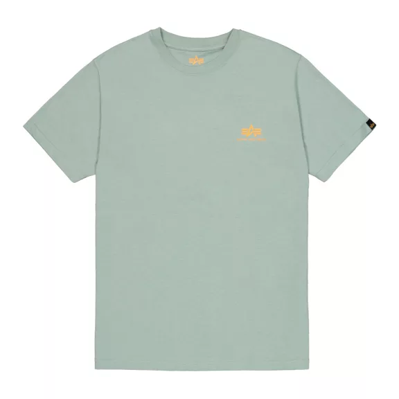Backprint T - frost green