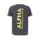 Backprint T - vintage grey