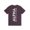Backprint T - plum