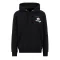 Flying Buzz SL Hoody - black