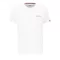 Holographic SL T - white