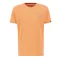 Holographic SL T - tangerine
