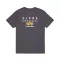Puff Print Logo BP T - vintage grey