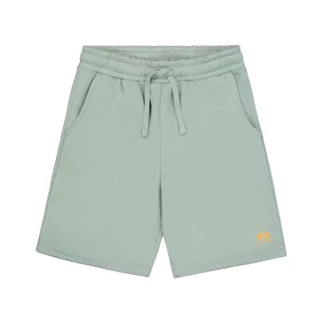 Basic Small Logo II Short - frost green