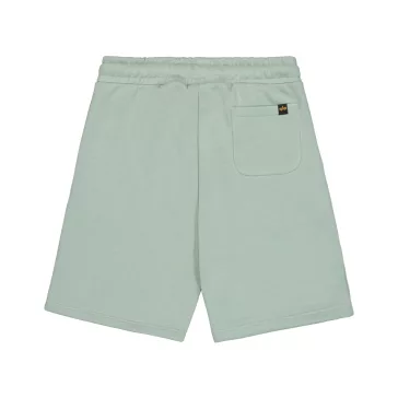 Basic Small Logo II Short - frost green