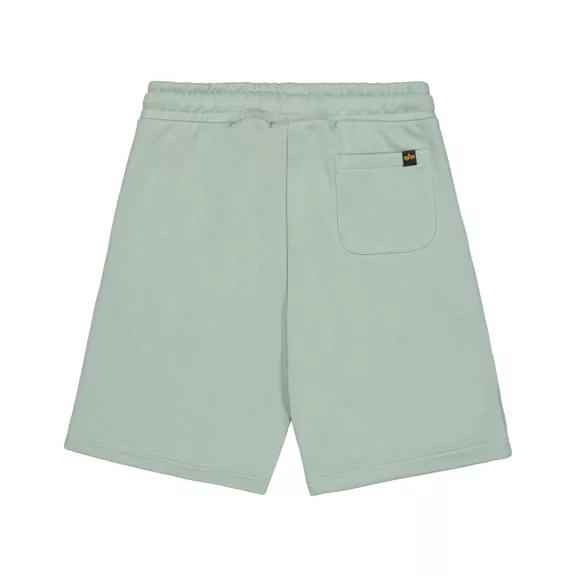 Basic Small Logo II Short - frost green