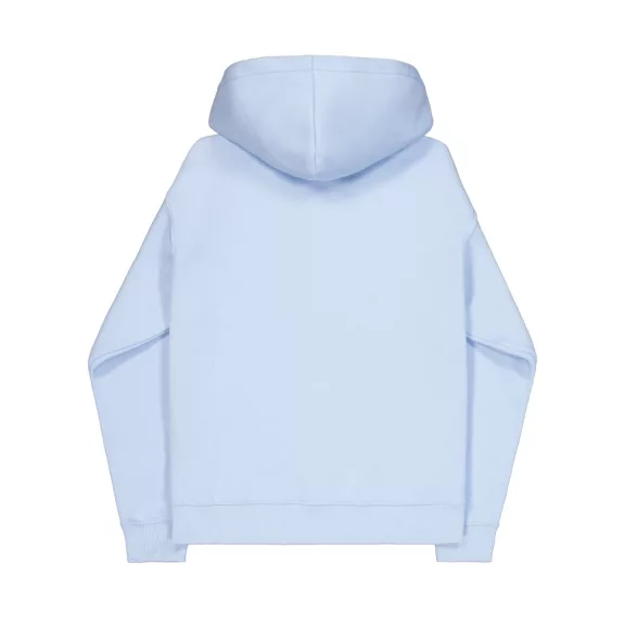 Basic Hoodie - artic blue