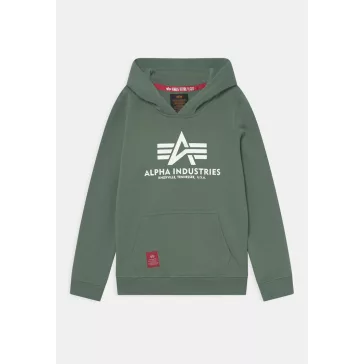 Basic Hoody - ivy green