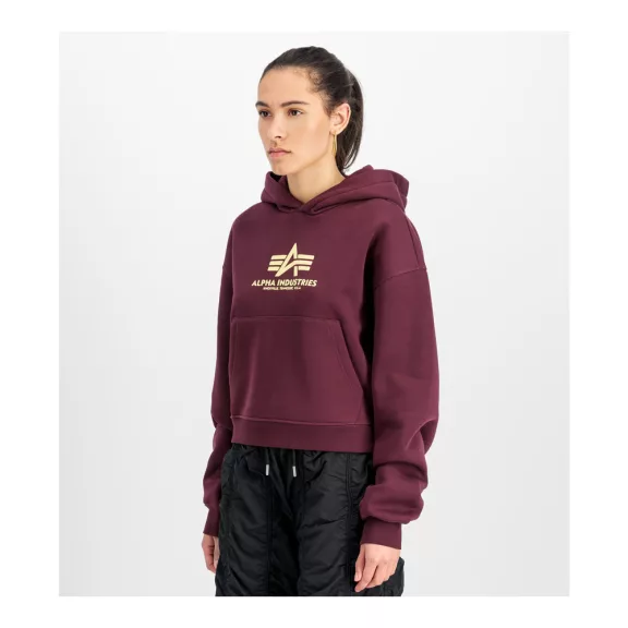 Basic Big Logo Puff Print Hoodie Women - dark cherry