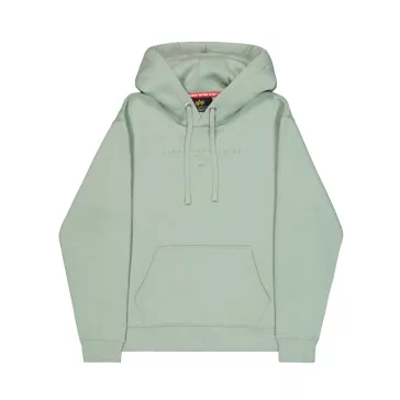 DTM Alpha Hoodie - frost green